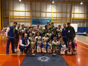 Campeonato de Ginástica Aeróbica